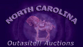 outasite_auctions_north_carolina001005.jpg