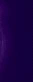 outasite_auctions_north_carolina001007.gif